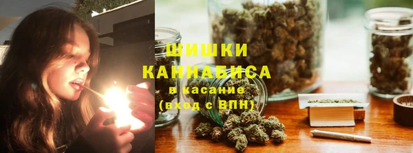 ГАЛЛЮЦИНОГЕННЫЕ ГРИБЫ Балабаново