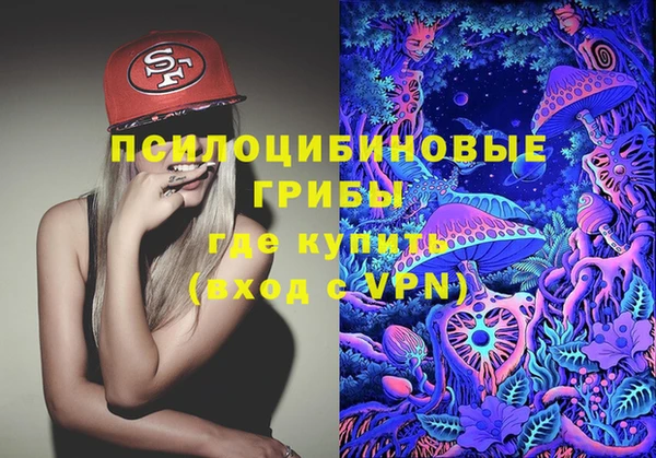 ПСИЛОЦИБИНОВЫЕ ГРИБЫ Балахна