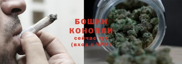 ПСИЛОЦИБИНОВЫЕ ГРИБЫ Балахна
