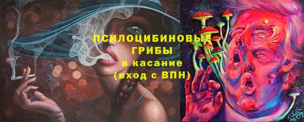 ГАЛЛЮЦИНОГЕННЫЕ ГРИБЫ Балабаново