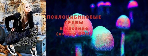 ГАЛЛЮЦИНОГЕННЫЕ ГРИБЫ Балабаново