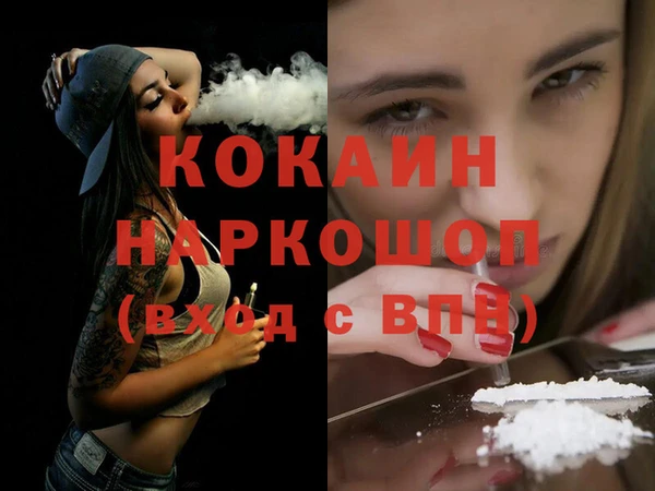 мет Протвино