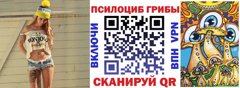 Галлюциногенные грибы мицелий  Кувшиново 
